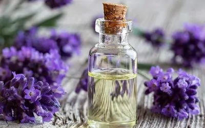 Мигрена – домашни лекове срещу режещата болка