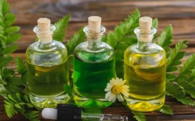 Мигрена – лечение с билки, което наистина помага