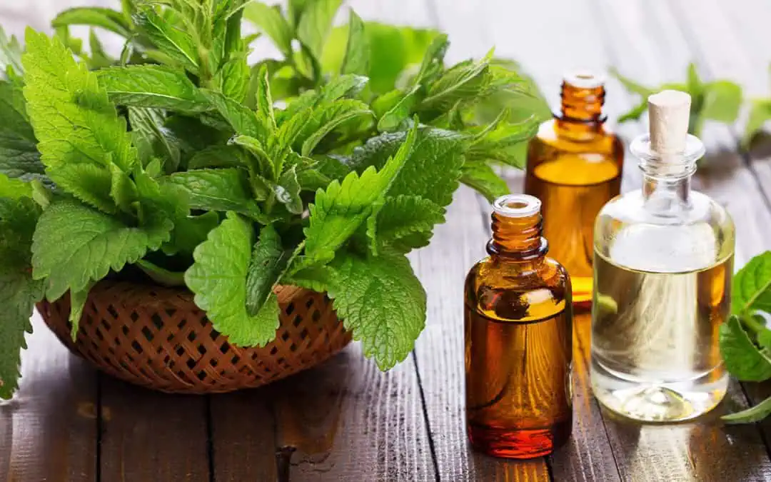 Облекчаване на мигрената – как да върнем контрола над ежедневието си?